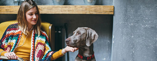 Sahibiyle birlikte yaşlı köpek