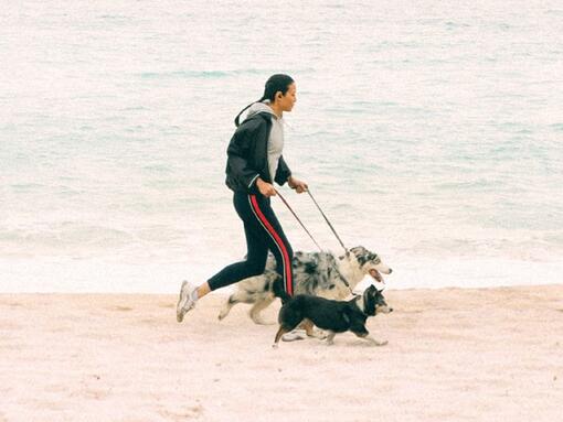 Köpeklerle koşan kız